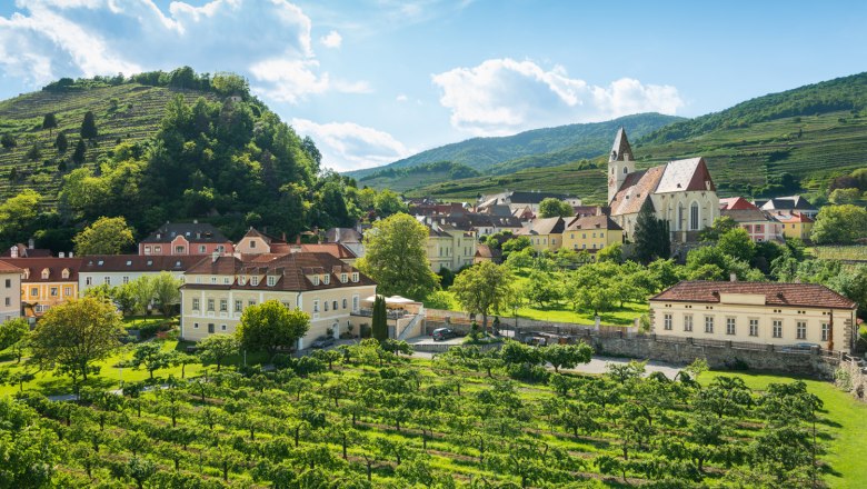 Landschaft mit Weinbergen, Kirche und Häusern in Spitz, Österreich.