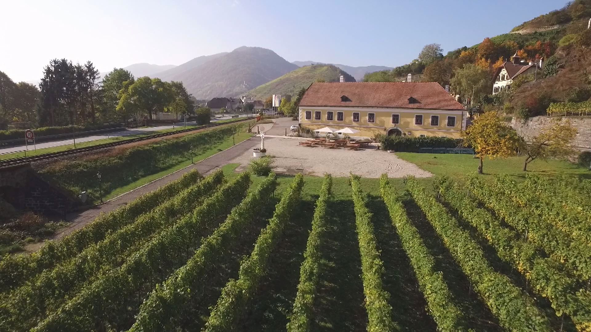 Weinberge vor einem gelben Gebäude mit rotem Dach, umgeben von Hügeln und Bäumen.