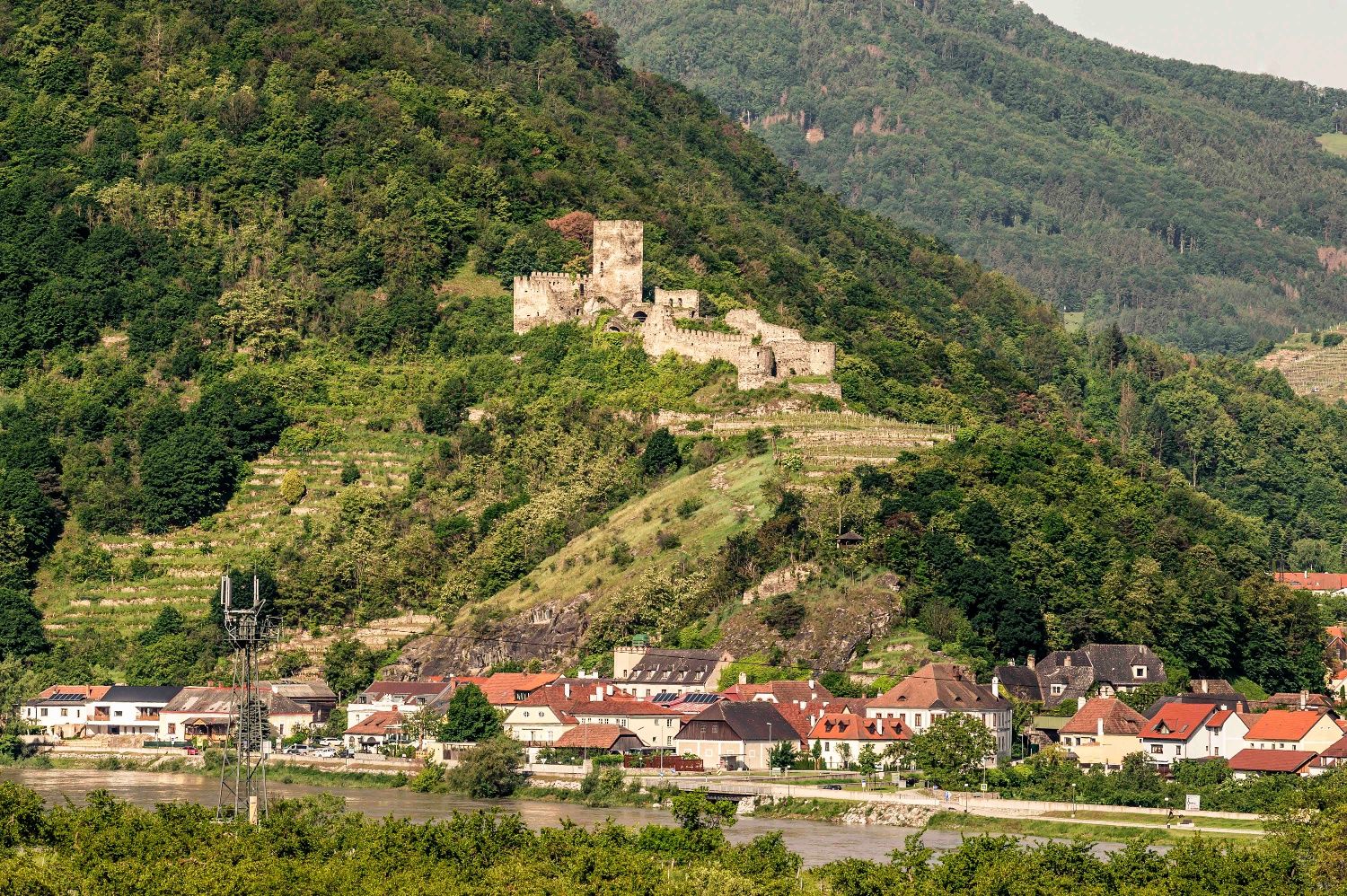Ruine Hinterhaus in Spitz