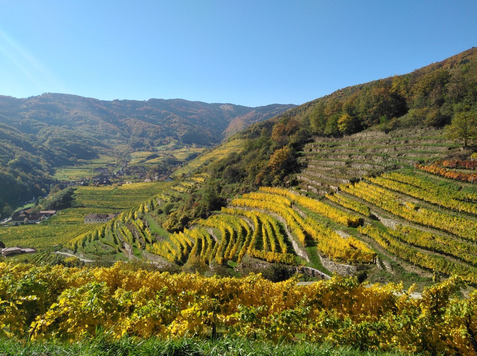 Aussicht vom Spitzer Panoramaweg