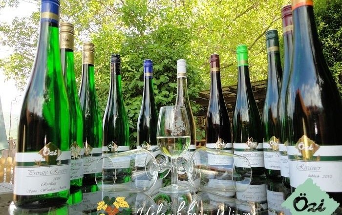 Eine Auswahl von Weinflaschen und ein Weinglas auf einem Tisch im Freien, umgeben von grüner Vegetation.