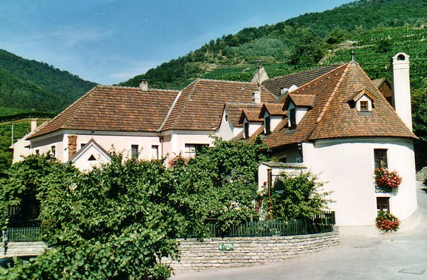 A picturesque vineyard with red tiled roofs and green vines, surrounded by hills.