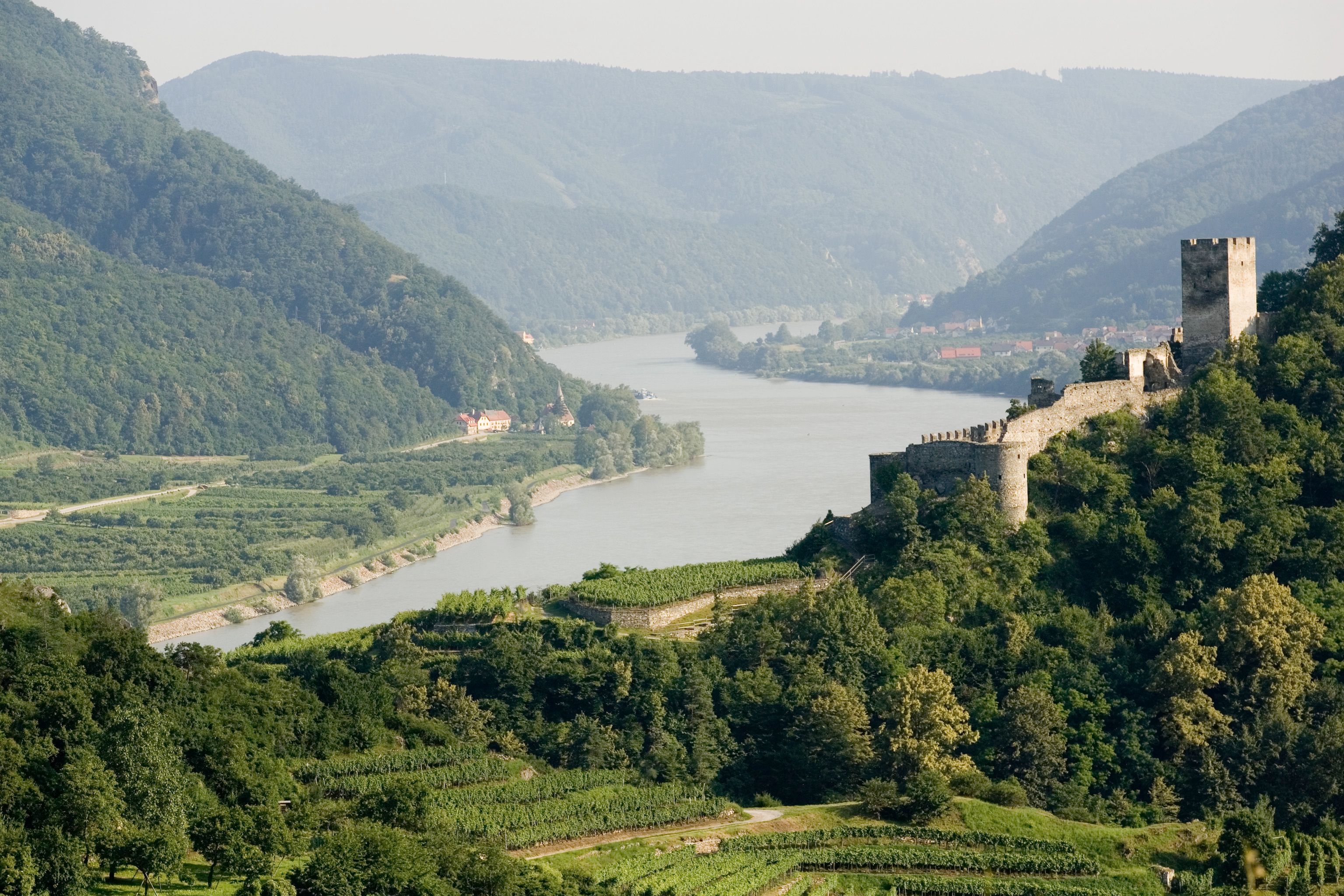 Panoramabild der Ruine Hinterhaus, im Hintergrund die Donau.