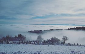 Sun or fog at the Jauerling, © Naturpark Jauerling-Wachau