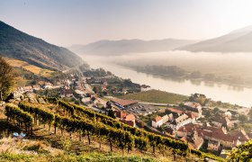 Autumn view from the Tausendeimerberg in Spitz with vineyards, village and river.