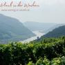 Panoramablick auf die Wachau mit Weinbergen und der Donau im Hintergrund.