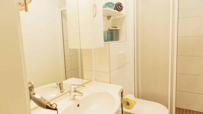 Small bathroom with washbasin, mirror, shower and toilet.