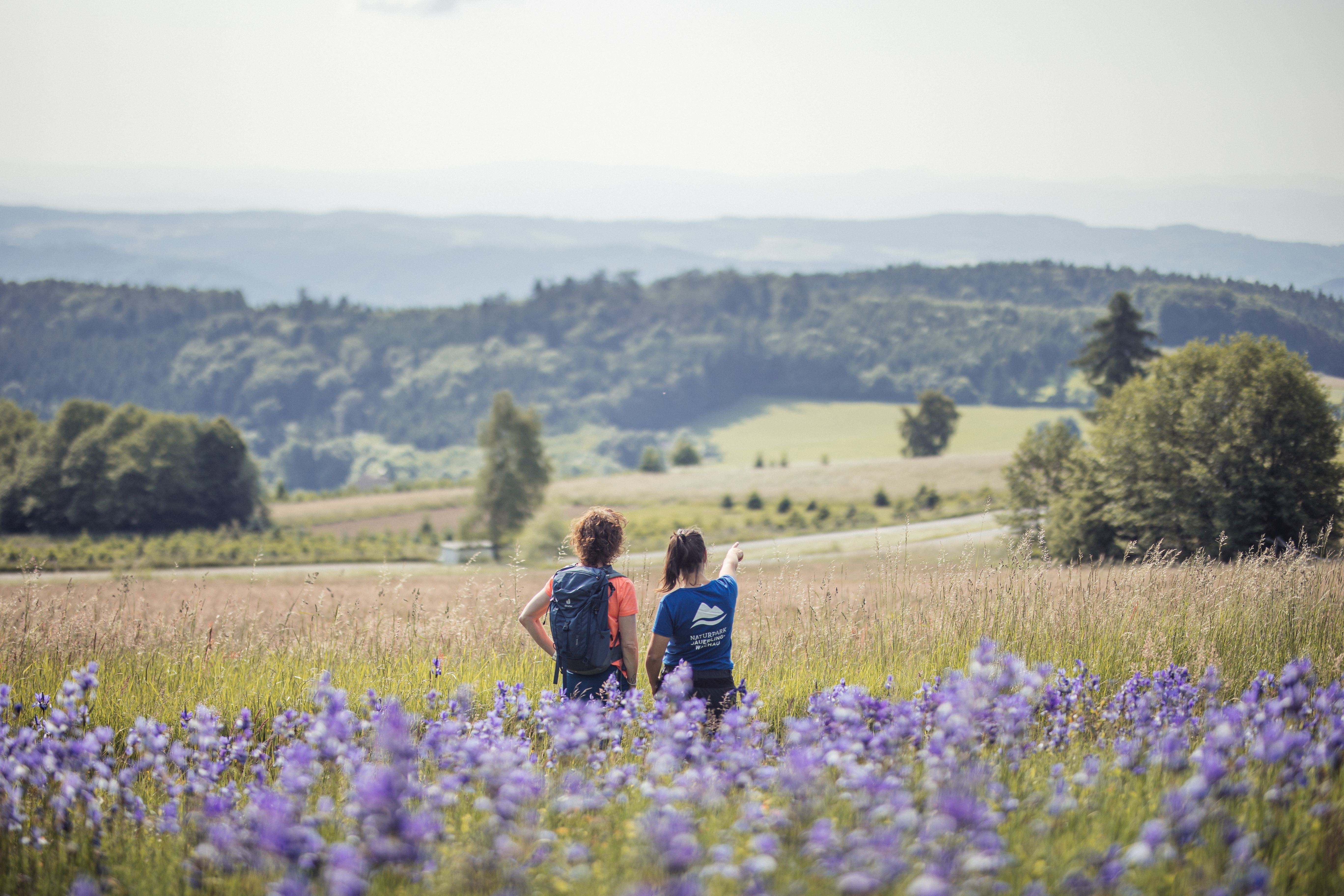 Eine Mitarbeiterin des Jauerlings Steht neben einem Wanderer auf einer Blumenbewachsenen Wiese und deutet in die Ferne. 