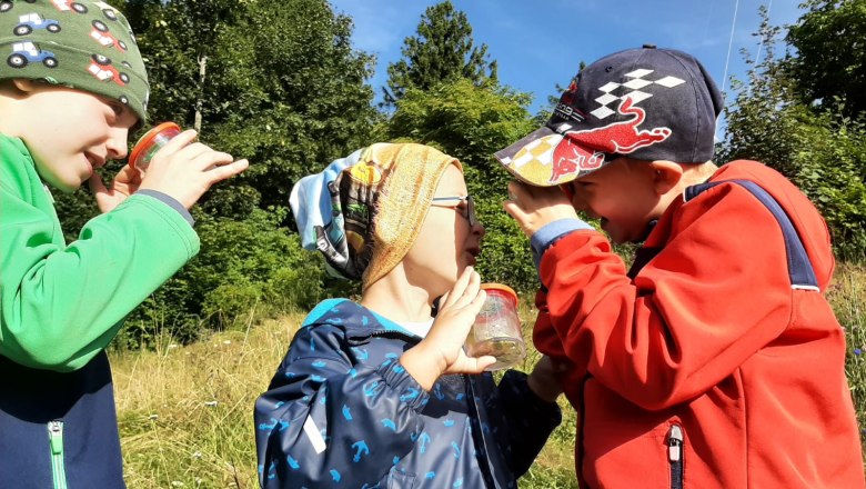 Kinder des Naturpark-Kindercamps entdecken die Tiere rund um die Naturwerkstatt Jauerling., © Birringer-Zauner