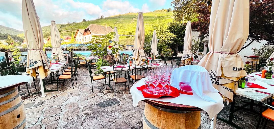 Gastgarten Stierschneiders Weinhotel Wachau 