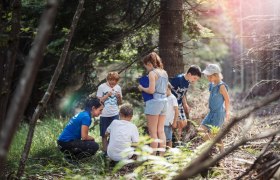 Kinder im Wald, © Branding Brothers