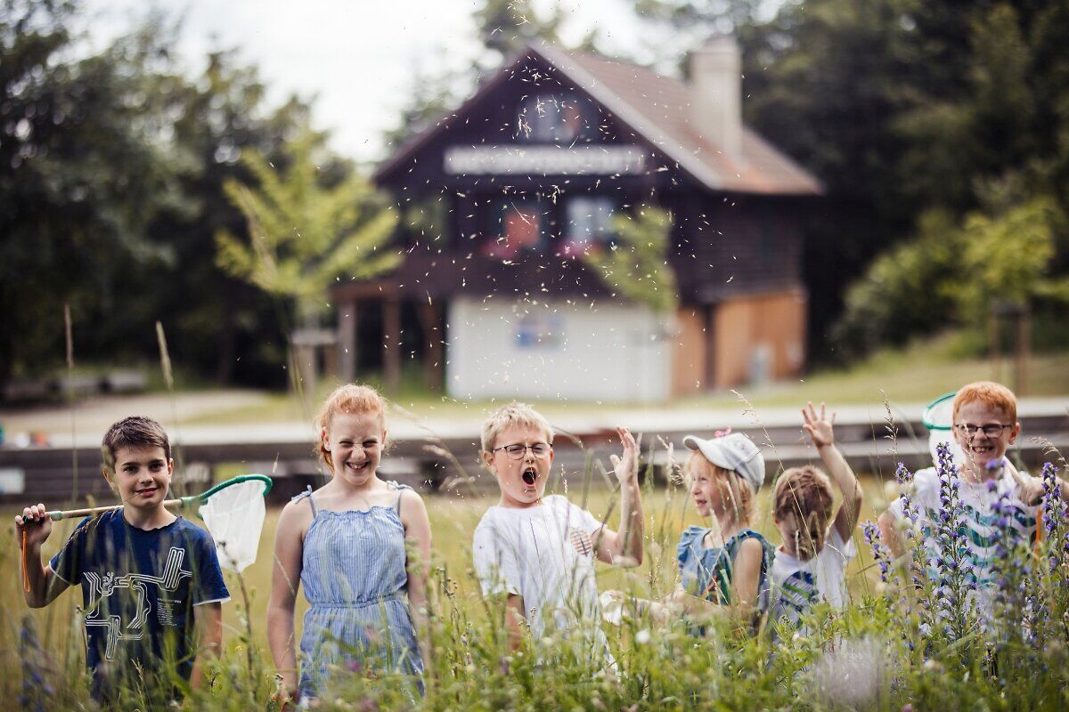 Eine Gruppe fröhlicher Kinder genießt den Sommer in der Natur, während sie mit Schmetterlingsnetzen durch die bunten Wiesen streifen. Umgeben von blühenden Wildblumen und dem sanften Rauschen der Bäume, strahlen ihre Gesichter vor Freude und Entdeckungslust.