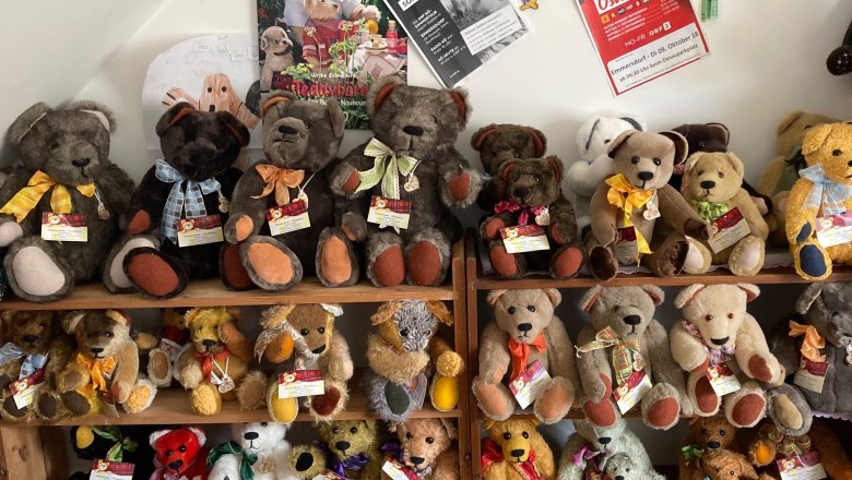 Shelf with many teddy bears in different colors and sizes.