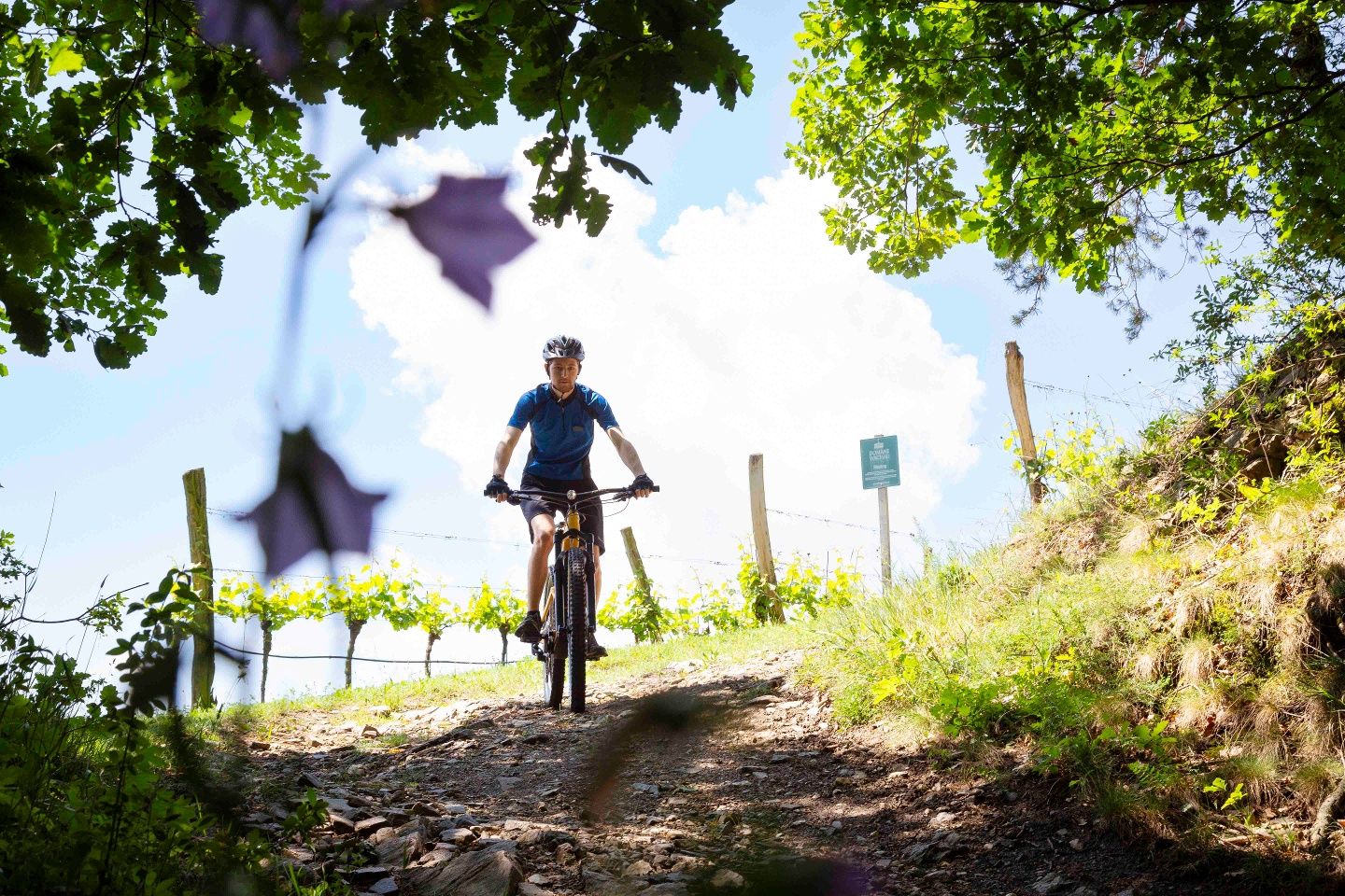 Mountainbiker bei der Abfahrt
