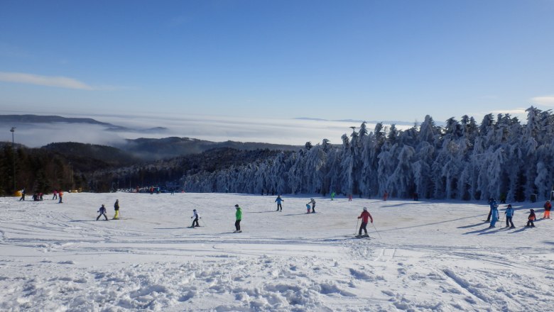 skiing at jauerling-c-ib-donau lower austria, © Donau Niederösterreich_Ingrid Bauer