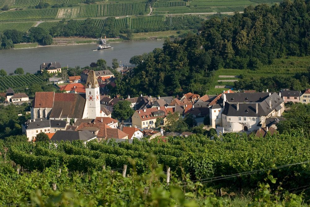 Blick auf die Pfarrkirche Spitz und umliegende Weinberge.