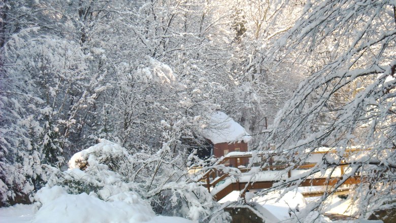 Snowy landscape with trees and a small house in the background.