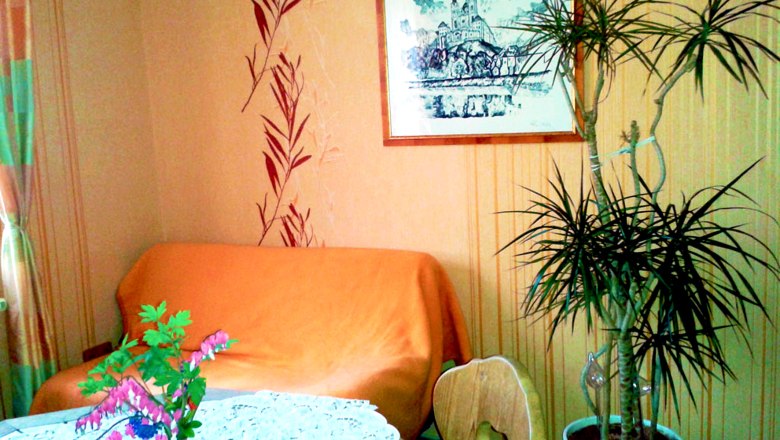Cozy room with sofa, plant and table with flowers.