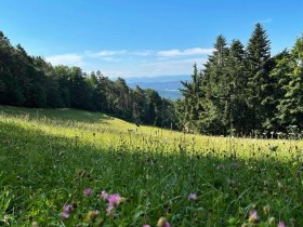 Jauerling-Runde 05: Weiten-Raxendorf, &copy; Wachau Inside