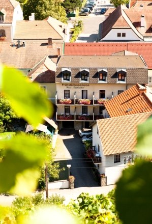 Blick auf ein Gebäude mit der Aufschrift 'Haus Oestreicher', umgeben von anderen Häusern und grünen Blättern im Vordergrund.