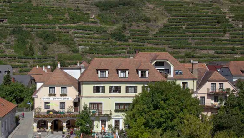Außenansicht eines Gasthauses mit Terrasse und Weinbergen im Hintergrund.