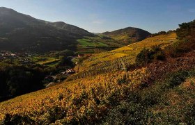 Spitzer Graben mit Blick Richtung M&uuml;hldorf und Berg Trenning, &copy; Graben Gritsch/Petr Blaha