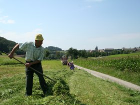Haymaking near Maria Laach, &copy; Arbeitskreis Wachau/Ronald W&uuml;rflinger