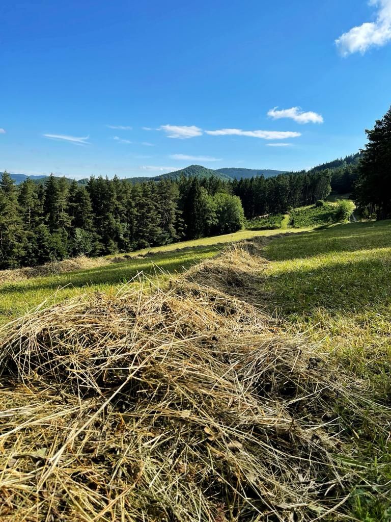 Entlang der Etappe 5