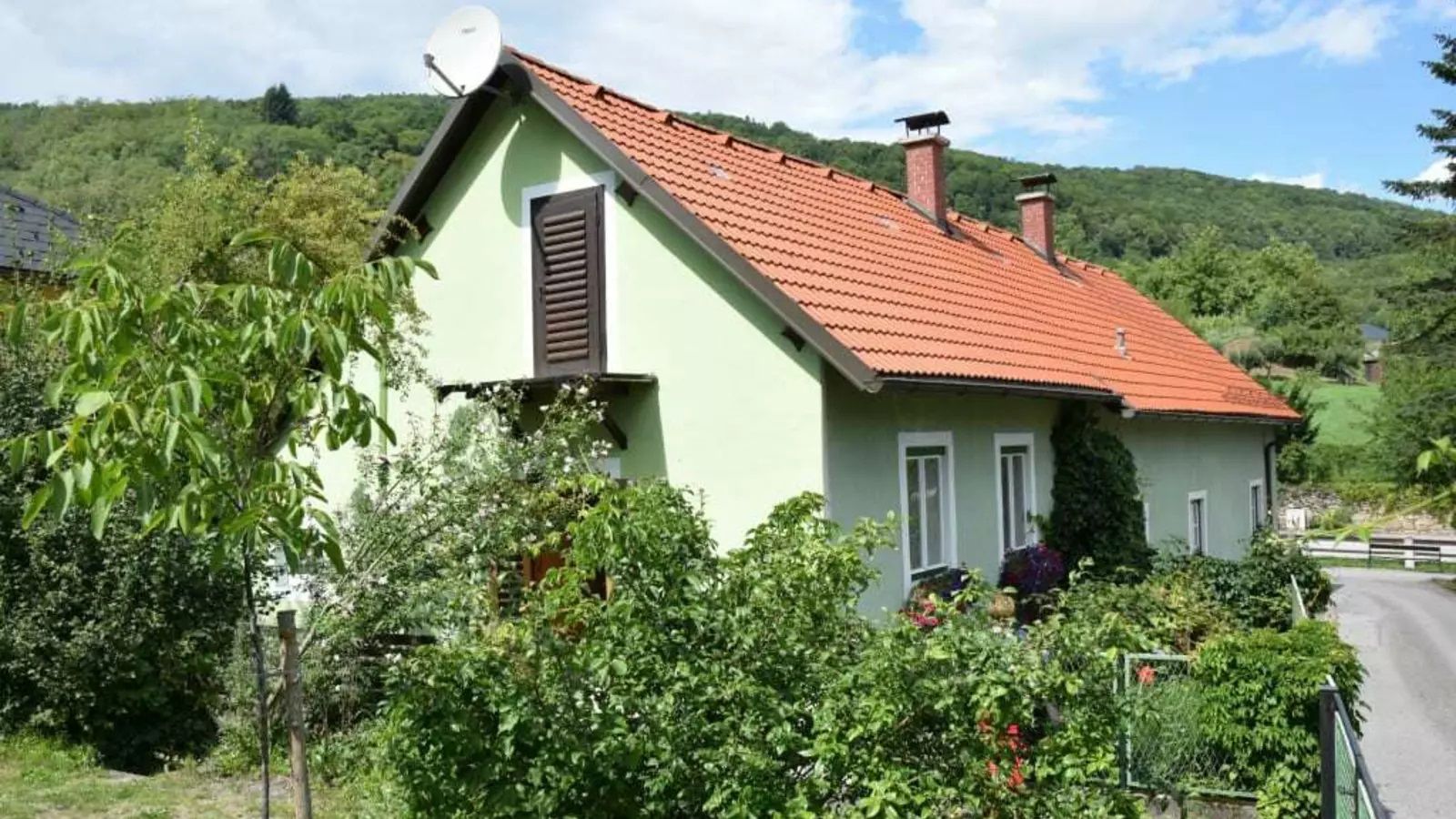 Grünes Einfamilienhaus von aussen mit rotem Dach