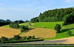 Sanfte Hügel und üppige Wiesen laden zu einem erholsamen Sommerausflug ein. Die klare Luft und das sanfte Licht schaffen eine harmonische Atmosphäre, die zum Verweilen einlädt. Entdecken Sie die Schönheit der Natur und genießen Sie die malerischen Ausblicke.