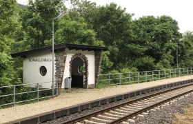 Kleiner Bahnhof Schwallenbach mit Gleisen und umgebender Natur.