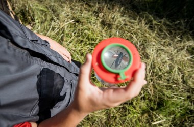 Naturpark-Schule: Kinder entdecken mit der Becherlupe, © Martina Siebenhandl