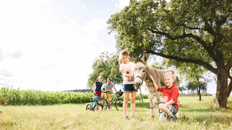 Wachauer Eselabenteuer, &copy; Nieder&ouml;sterreich Werbung / Stefan F&uuml;rtbauer