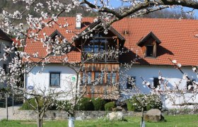 Vacation apartments Seitner, exterior view, &copy; Familie Seitner