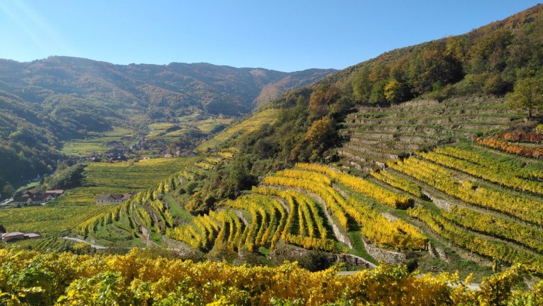 On the Spitzer Graben panoramic trail, &copy; Donau N&Ouml;: Heidi Schauer-Leberzipf